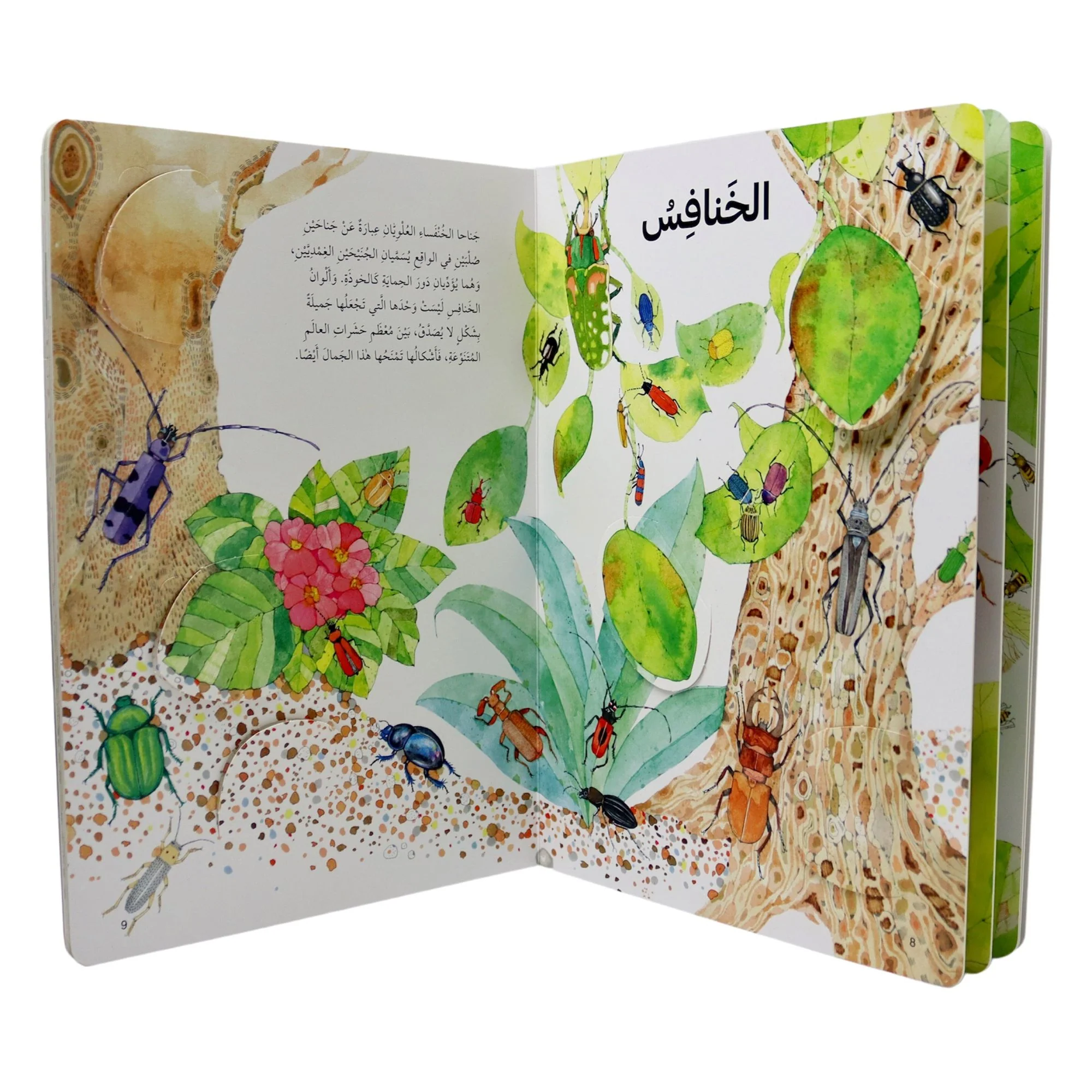 Image du produit 6